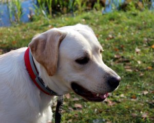 �������� �����.