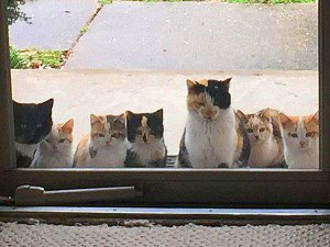 ���������