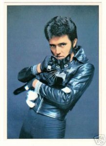 Alvin Stardust