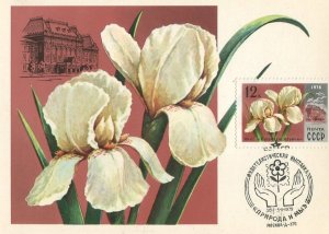     1977 
