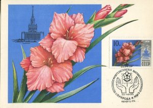    1977.    50  