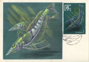  . . . .  50  .   1978 