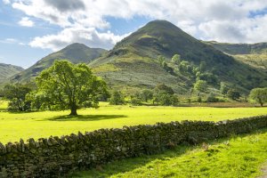 High Hartsop Dodd, Lake District by Andrew Kearton