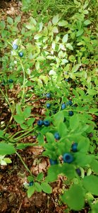 �������, ����� �����, ���� 2022  ������� � ���� ����� � ��������������.