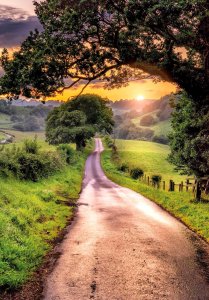 The spectacular road to the village of Boltby, North York Moors, Yorkshire by Helen Williams