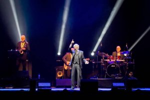            Verti Music Hall 17  2019   , . 