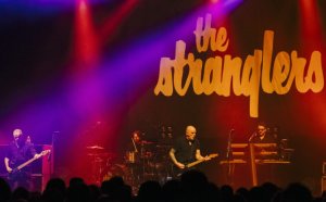 The Stranglers          Buzzcocks  2025 .     ,  ,   .