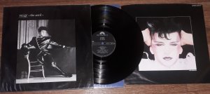 1982 ------   .