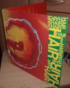    Hair