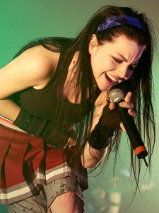    Evanescence     World Domination Tour 2004 13  2004   -   -  -, .