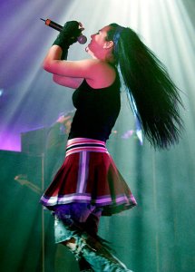    Evanescence     World Domination Tour 2004 13  2004   -   -  -, .