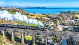 A train passes over Hookhills viaduct, Paignton, Devon by Paul Jacobs