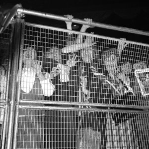   1963  
