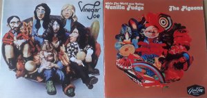 Vinegar Joe + The Pigeons(pre-Vanilla Fudge)