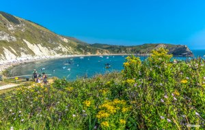 Glorious Lulworth Cove, Dorset by Neil Cresswell