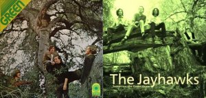 Green + Jayhawks