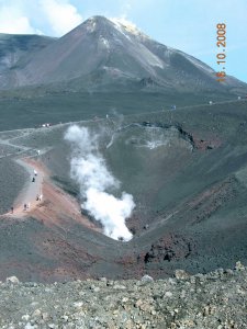 , , 2008       .