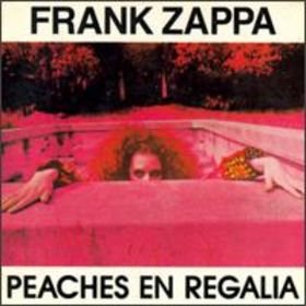       Frank Zappa  .