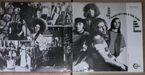 Psychedelic rock /  