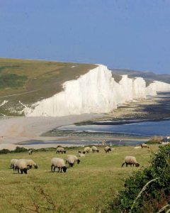 Sussex Downs  England 
