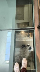 � ���� �������� ���������� ������.