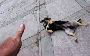   , , , ...       , , ,    , , , ,  , .