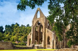 Tintern Abbey, Monmouthshire