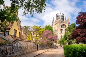 Ely Cathedral and Prior's House from the south, Cambridgeshire by Andrew S Brown
