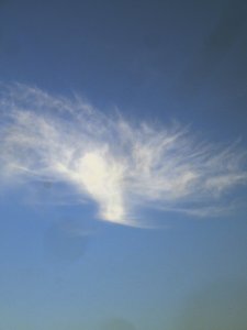 ������� ������� 5�� ��� ��������. ���� ��� ����������, ��� � ���������, �� ��� � ������ ��������� ������, ��� ����������, �������� �������� ���������. ����� ��� ���-��� ������ ���� �����, �� �� ���� ��������� ��� ��� � ���� �� ����� ���� ��, ����� ��� �� ����� ������ ������ �� ��, �� ������� ���� ���� ������� ���, ��� ������ � ��������� ������.