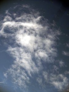 ��� ��� ���� �����������, ������� ���������.