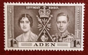 Aden 1
