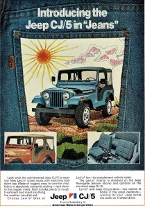 AMC    .  74-     - Jeep Levi's