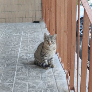   ,      ,  .             ,   -    (         ?).   ,       - , ,      --,    ... 