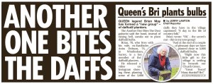 Daily Star .