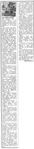 New Musical Express 19 March 1977