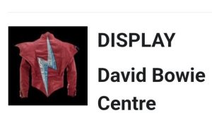 .  - -     🤦,    . 