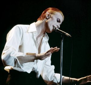        The Thin White Duke!