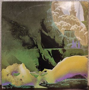 ...  -         Greenslade.        .  ,   Feathered Friends    ,      -       -.     -      ; ,         - Rare Bird. 