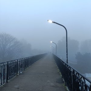 ����������...