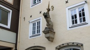        ,    - , ,   ,    .            ,       ,   -    ,              . 