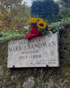 ..   ,     Dana Colley 