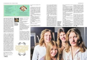 ������ Renaissance