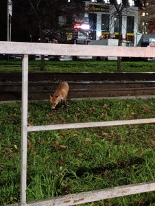   ,      .    . (  ,  -   ). 