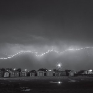 STEVE HAUSCHILDT  Aeropsia, 2025