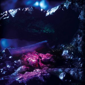 STENNY  Sharp Fragments, 2025