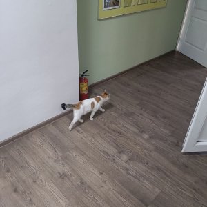 ������� ���� ������. ��� ��� �� 4 ���� �������� ����� ������.