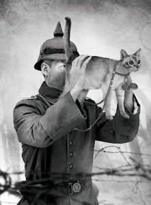 ��������� - ����, ��� �� ��������