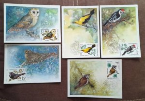 ���������. �����. ��������. �������������