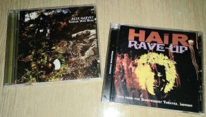 � ����� 1967 ���� � ���������� ������ ���������  ������ ������� ���������� ������ ������� �air. (�� ����� 1972 ���� ���� �������� ����� 2000 ����������, ����� ���� ������������ ����� ������ ������ ��������� ��� ��� ���������.) � ����������� ����������� ����� ����� ���� ��� ����� ���� � ���� �������� �� �irvied Air. A���� ����� ������� � �������� Hair ���������� ����� ���� ���. � ������ ����� ��������� ������������� ����� �������������� ����-���, ����� ��������� ����� ����� ������� �������� ���������� ��� �����������, ������ ����� ����������� ��� ��� ���� � ��������� ���������� ��������� �� �������. ���� �� ����� �����������  ���� �������� �� ����� � � ������� 1969 �������� ���������� �� Pye Records. � ������ ������ ����� ����� ��� �������� � ��������, �� ��� �� ������ ���������� ��� �� ���-����� � �� ������� ��������������, � ������ ������� Hair Band, ��� ����� ����� �� ������� ���� ��������� ��������� ����������� ���������� ������ ����� � ���� ������� �� ����� � ���� ������. ������ ��������� �� ����� �������� � ��� �� ����� �������� � ������� ��� ��� c������ Roman Wall Blues, a ������ � ���������� ������ � ����� ����� ��� �������������� � ������ ��� ������� Rock Workshop, ��� �� �������� ������� ����� �������� ������������ ����� ��������� ������.