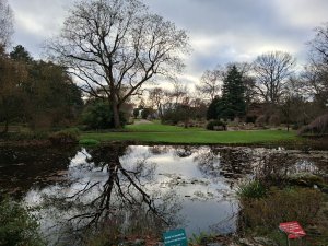  ��� ������ ��������?